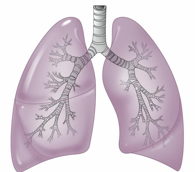 肺癌出现尿蛋白3个+可以吃奥希替尼吗?(图1)