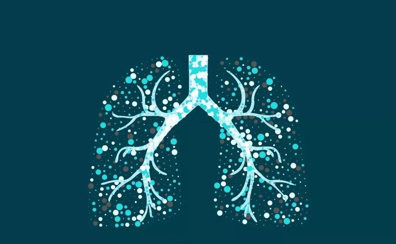 肺癌有白肺能用银灵合剂吗?(图1)