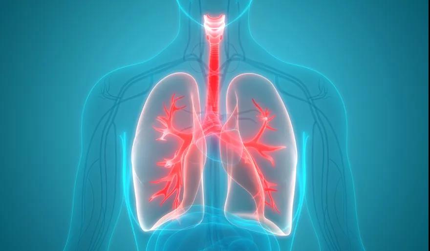 肺癌吃卡度尼利出现咳嗽严重,有咳血,前胸后背痛怎么办?(图1)