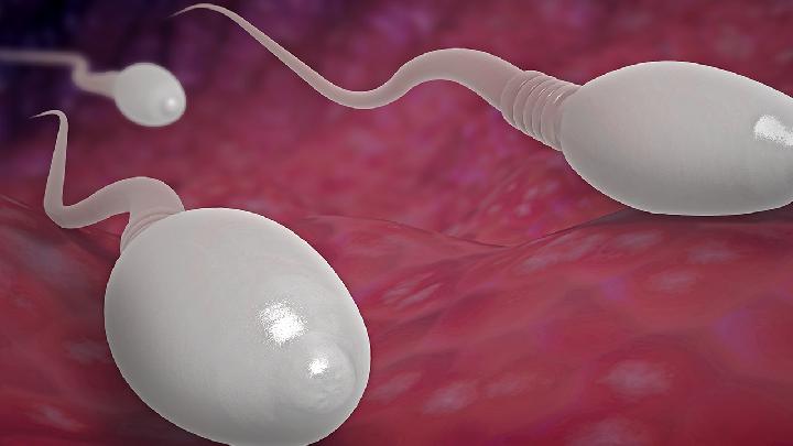 精子活力低是胎停的原因吗