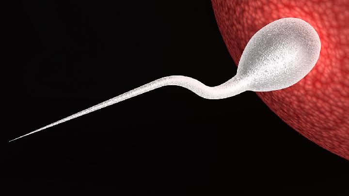 精子活力低是肾的原因吗