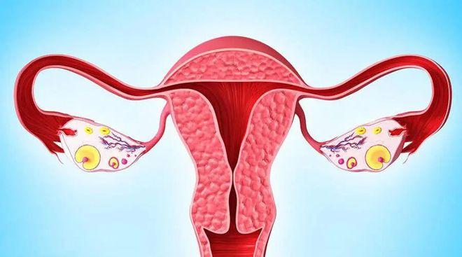 西黄丸对卵巢癌治疗有效吗(图1)